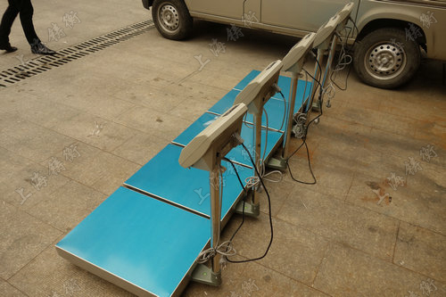 大量程電子臺秤